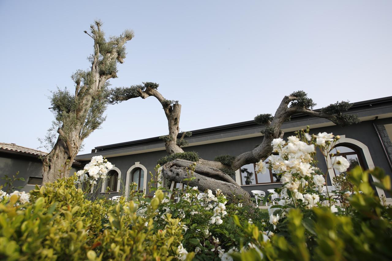 Terra Di Venera Villa Santa Venerina Kültér fotó